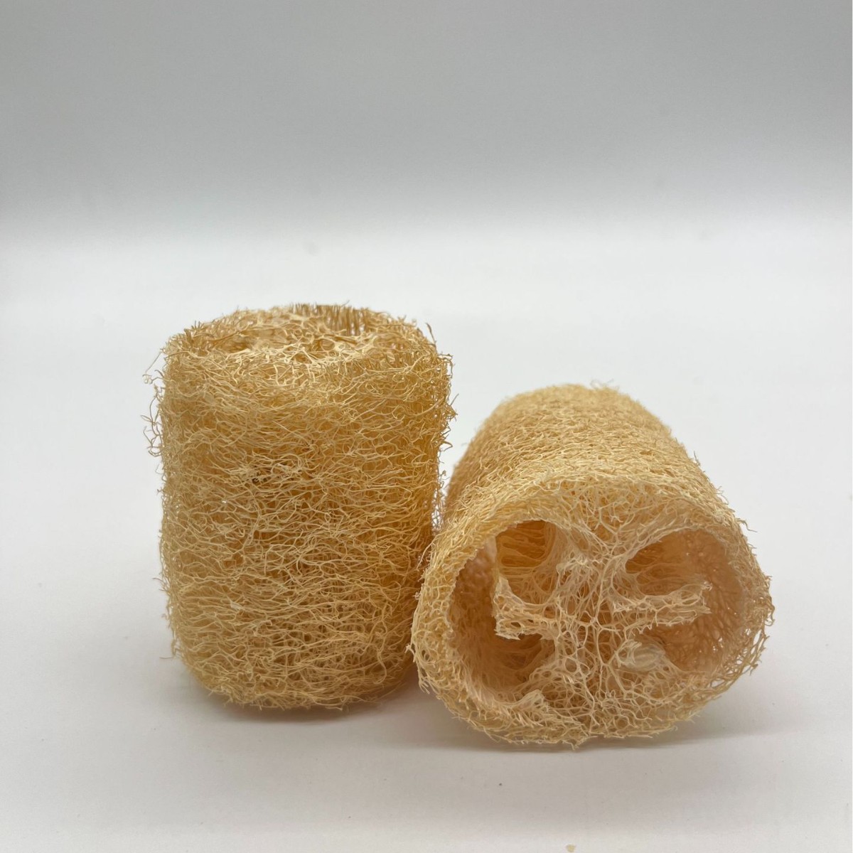 Natural Loofah Sponge - Detail View